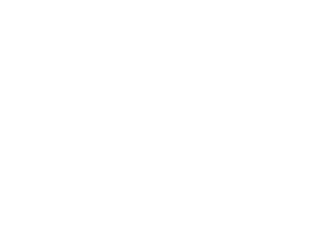 Urban Bonfire Logo_White